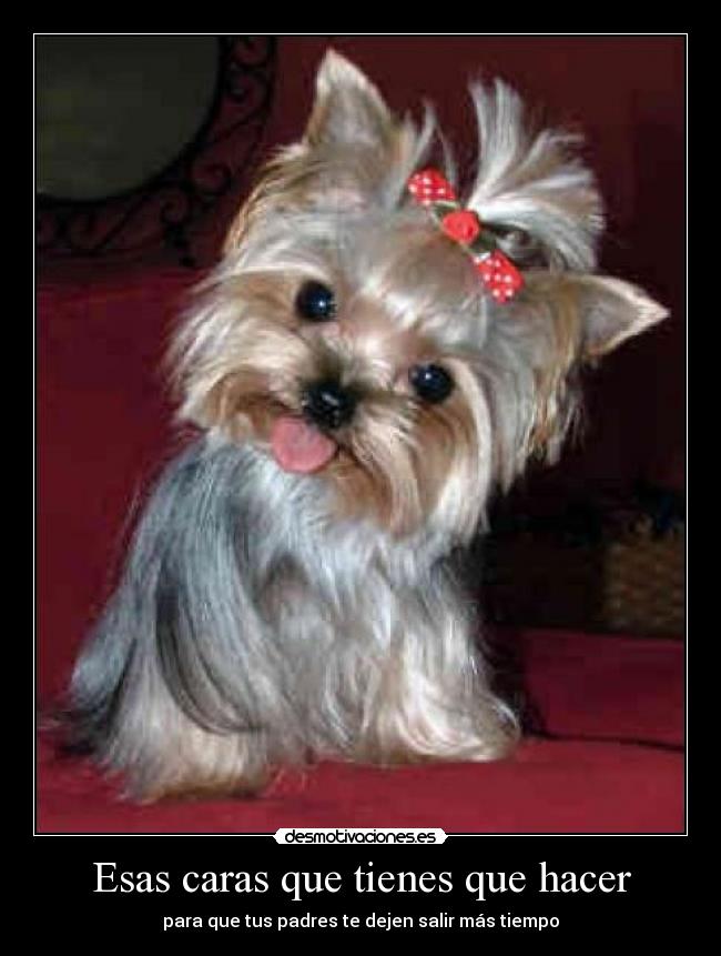 Esas caras que tienes que hacer - para que tus padres te dejen salir más tiempo