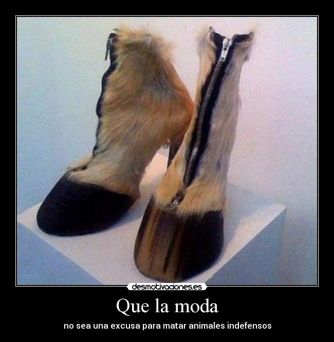 Que la moda -