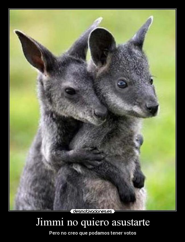 Jimmi no quiero asustarte -