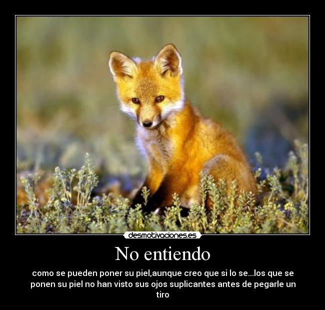 No entiendo - 
