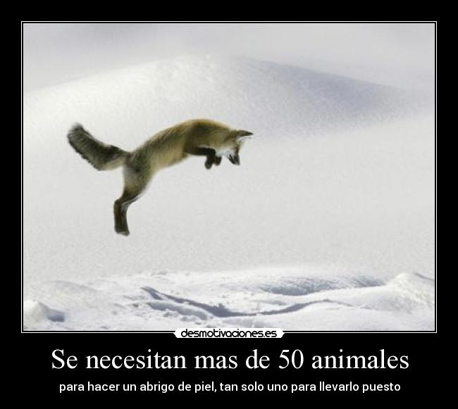 Se necesitan mas de 50 animales -