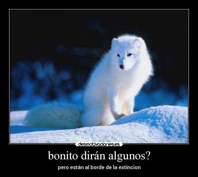 carteles pobre desmotivaciones