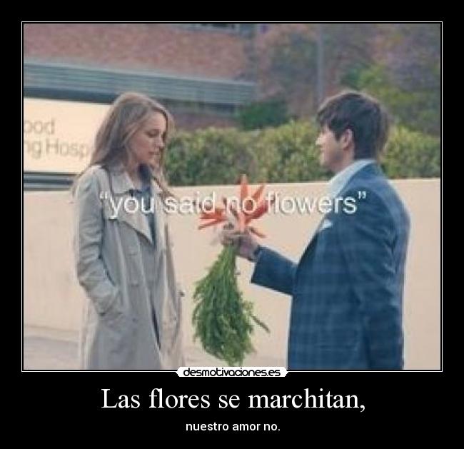 Las flores se marchitan, - nuestro amor no.