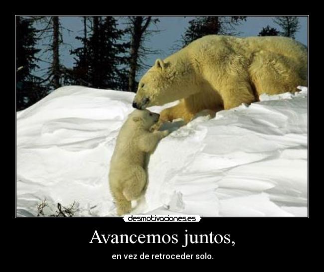 Avancemos juntos, -