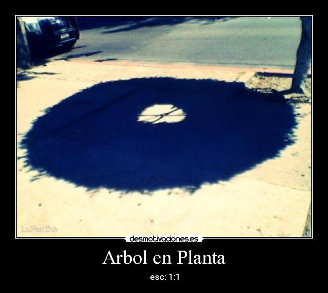 Arbol en Planta - esc: 1:1