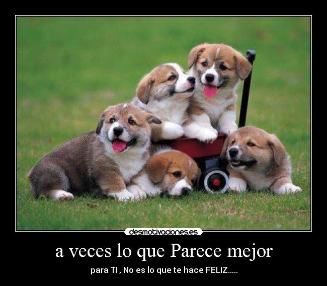 a veces lo que Parece mejor - para TI , No es lo que te hace FELIZ.....