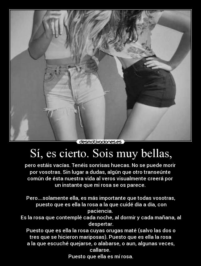 carteles parece principito desmotivaciones