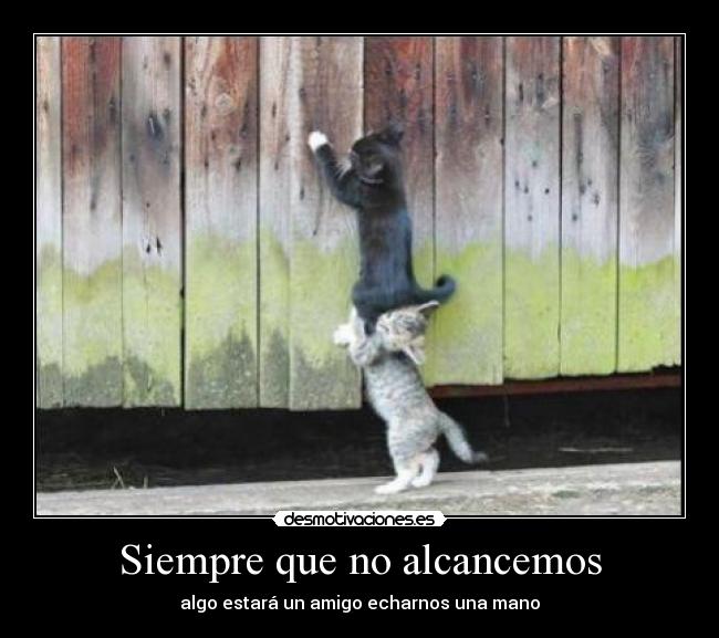 carteles grac nete desmotivaciones