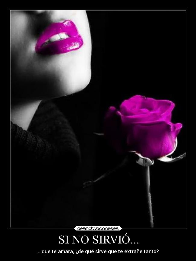 SI NO SIRVIÓ... -