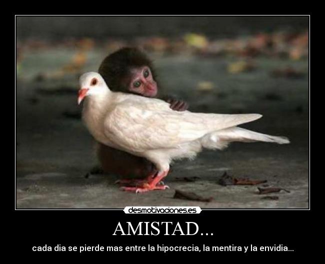 AMISTAD... - 