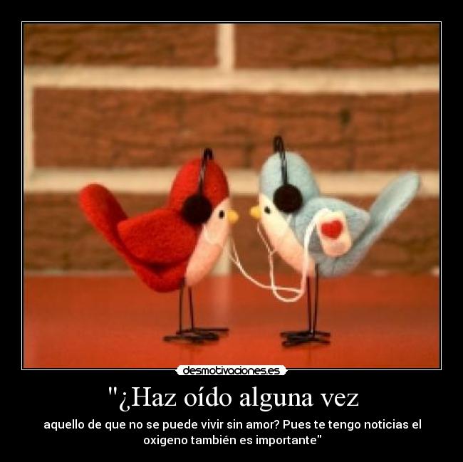 ¿Haz oído alguna vez -