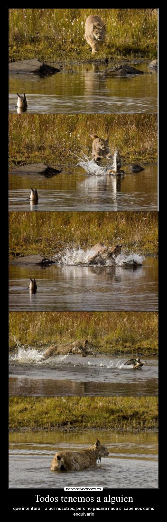 Todos tenemos a alguien -