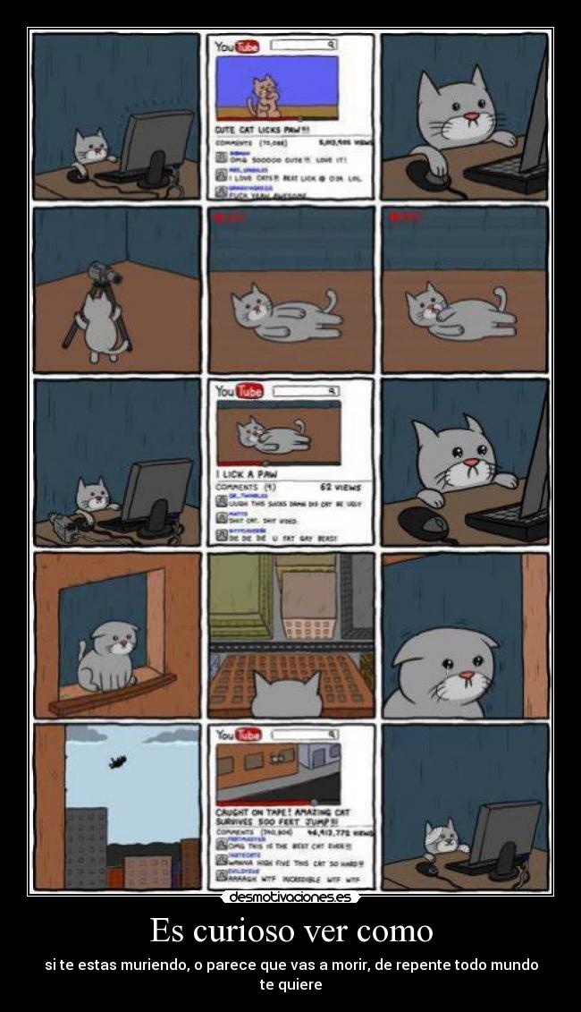 Es curioso ver como - si te estas muriendo, o parece que vas a morir, de repente todo mundo te quiere