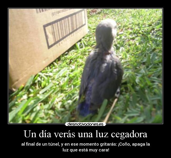 carteles misetiquetassonmias enano sin nombre ruega ayuda para pensar nombre desmotivaciones