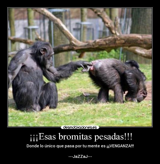 ¡¡¡Esas bromitas pesadas!!! - 