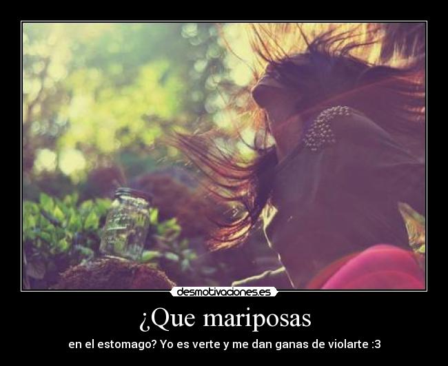 ¿Que mariposas -