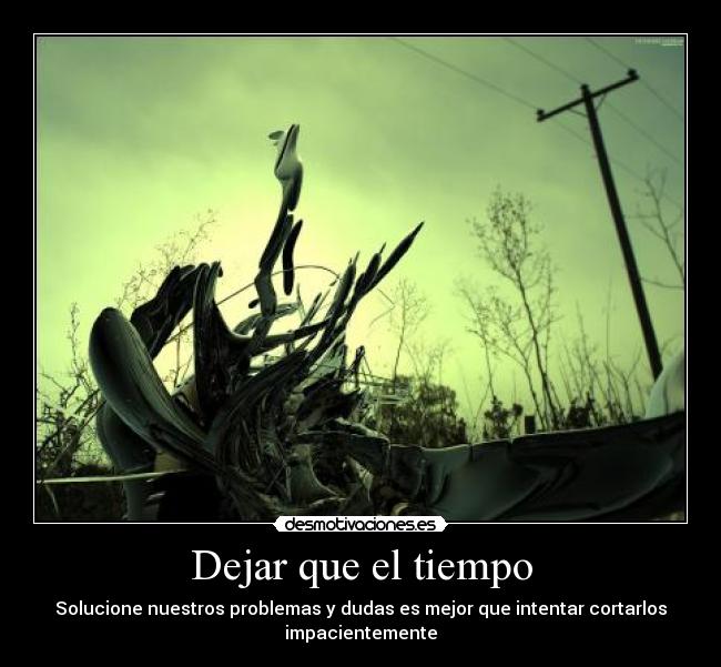 carteles willson desmotivaciones