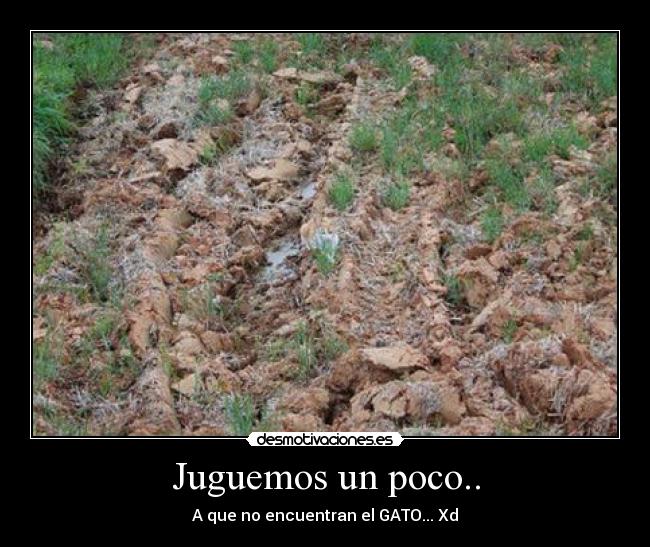 Juguemos un poco.. - A que no encuentran el GATO... Xd