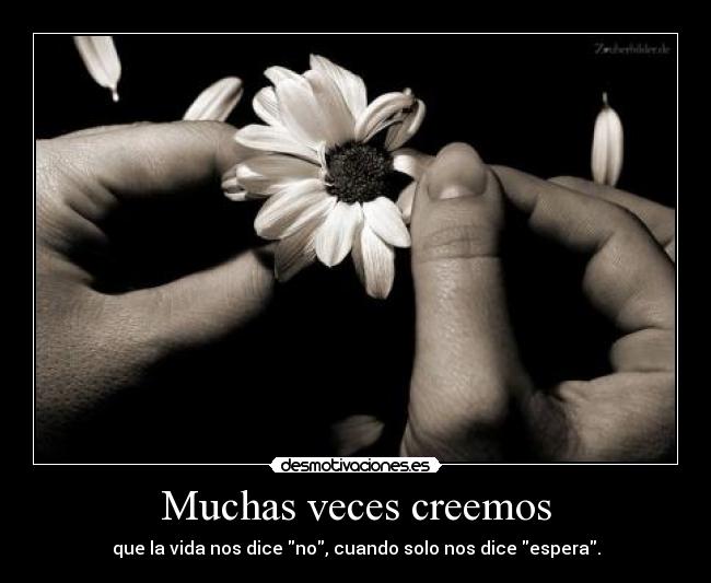 Muchas veces creemos - que la vida nos dice no, cuando solo nos dice espera.