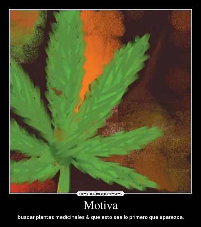 Motiva - buscar plantas medicinales & que esto sea lo primero que aparezca.