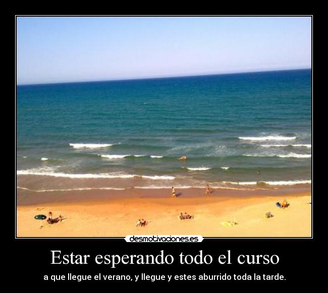 carteles tipico desmotivaciones