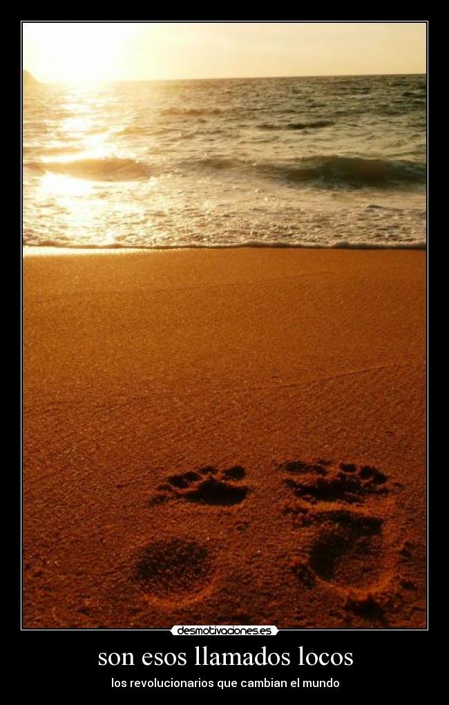 son esos llamados locos -