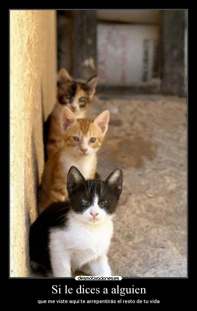 Si le dices a alguien - que me viste aquí te arrepentirás el resto de tu vida