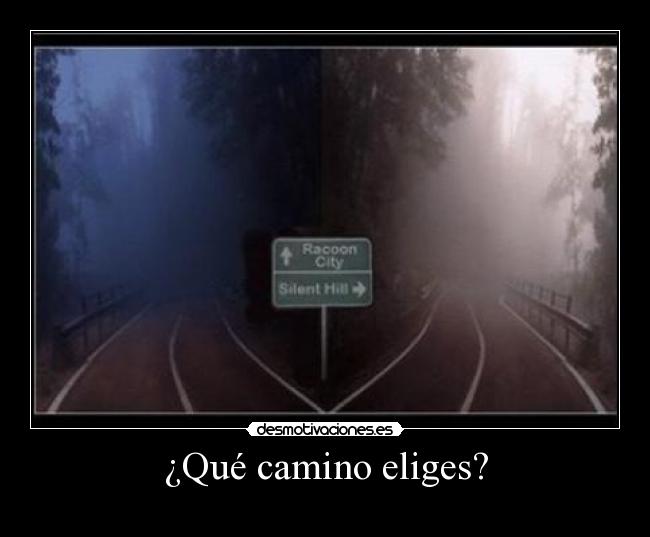 ¿Qué camino eliges? - 