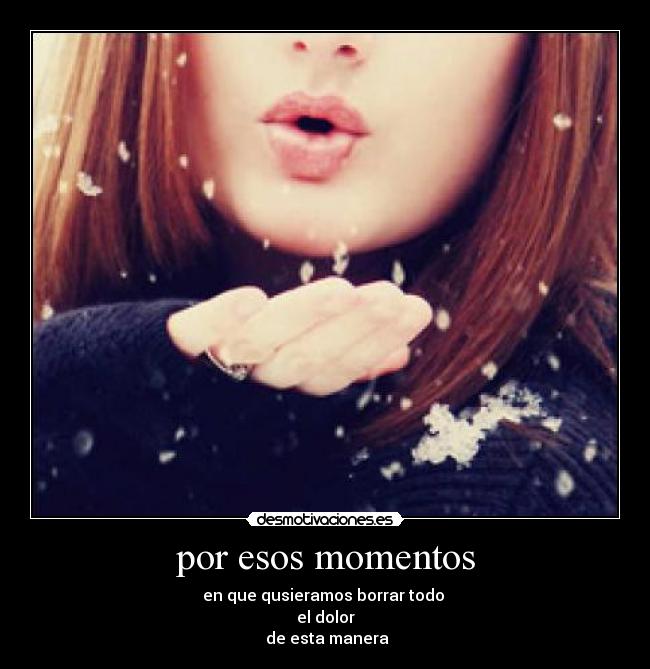 carteles sii desmotivaciones