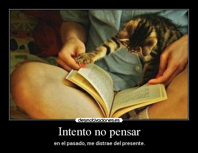 Intento no pensar -