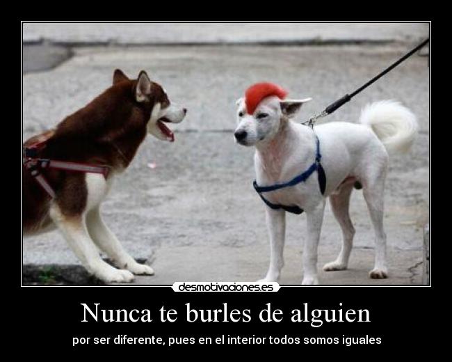 Nunca te burles de alguien - por ser diferente, pues en el interior todos somos iguales