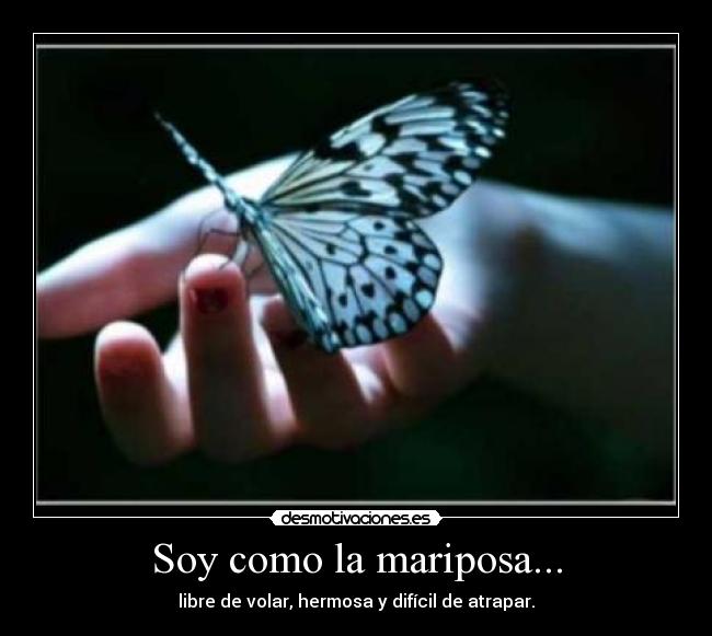 carteles mariposa74 desmotivaciones