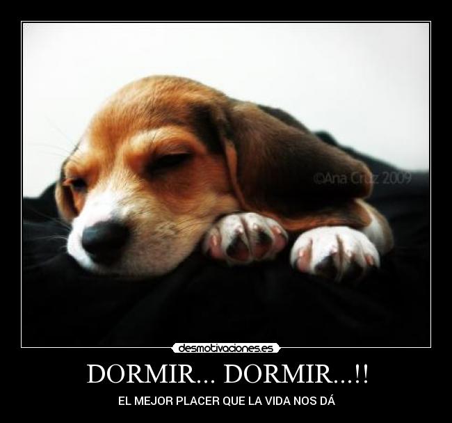 DORMIR... DORMIR...!! - 