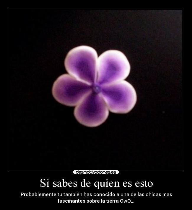 Si sabes de quien es esto - Probablemente tu también has conocido a una de las chicas mas
fascinantes sobre la tierra OwO...