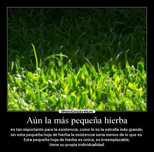 Aún la más pequeña hierba - es tan importante para la existencia, como lo es la estrella más grande; 
sin esta pequeña hoja de hierba la existencia sería menos de lo que es. 
Esta pequeña hoja de hierba es única, es irreemplazable, 
tiene su propia individualidad.