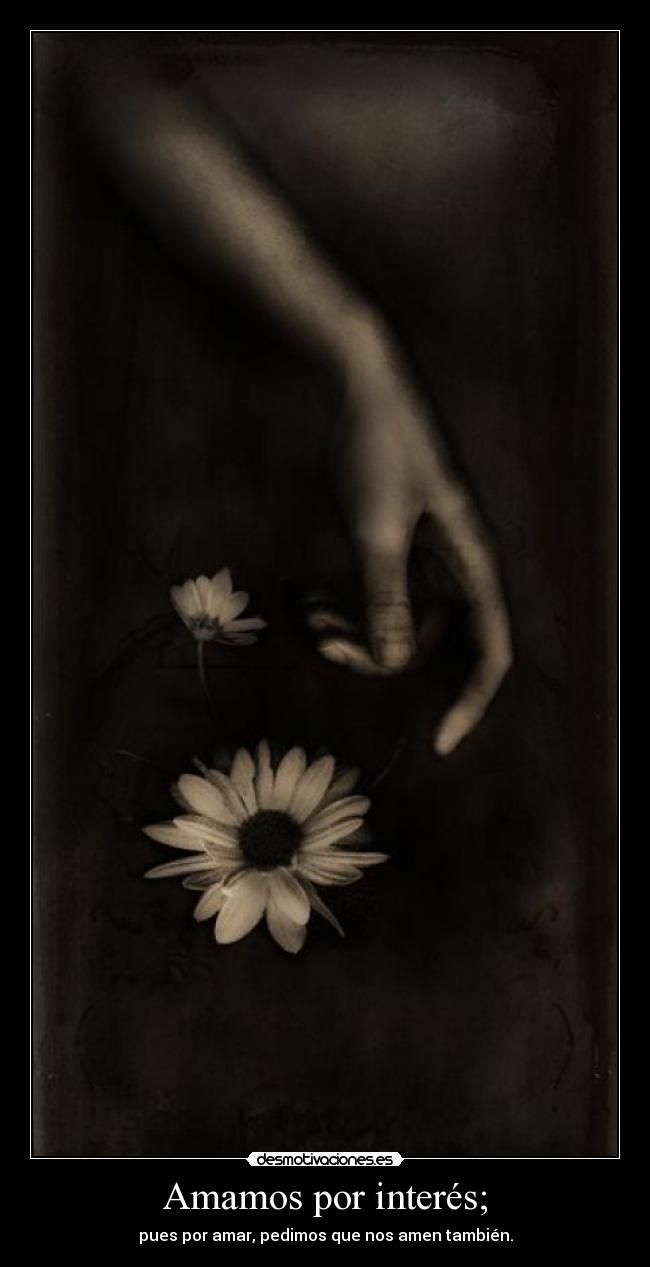 Amamos por interés; - 
