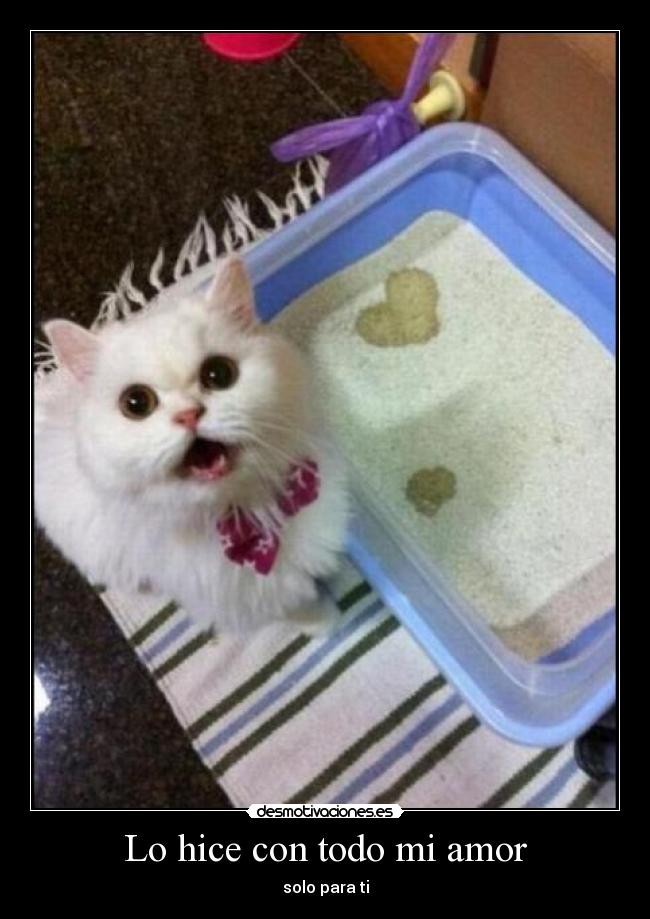 Lo hice con todo mi amor - 