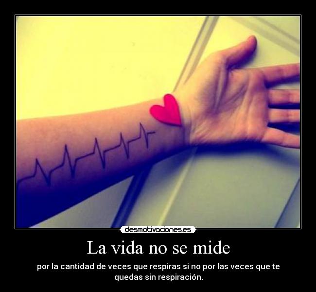 La vida no se mide -