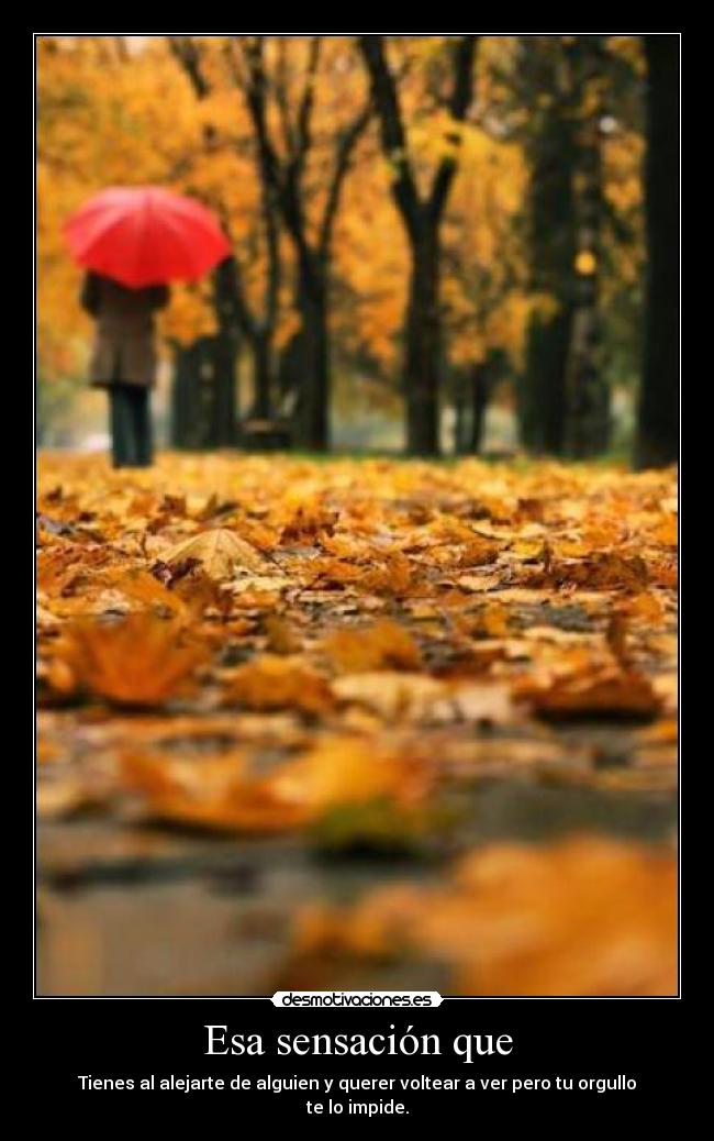 Esa sensación que - Tienes al alejarte de alguien y querer voltear a ver pero tu orgullo te lo impide.