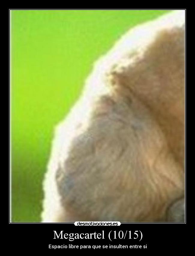 Megacartel (10/15) - Espacio libre para que se insulten entre si
