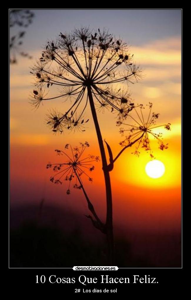 10 Cosas Que Hacen Feliz. - 2# Los días de sol