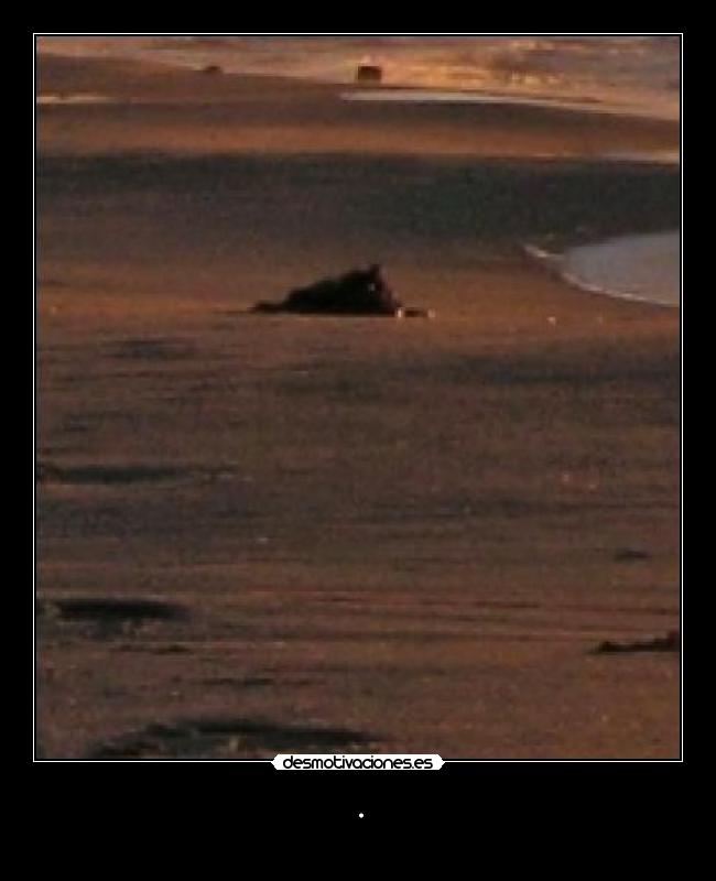 carteles ocsuhc quedate conmigo 253 quiero desmotivaciones