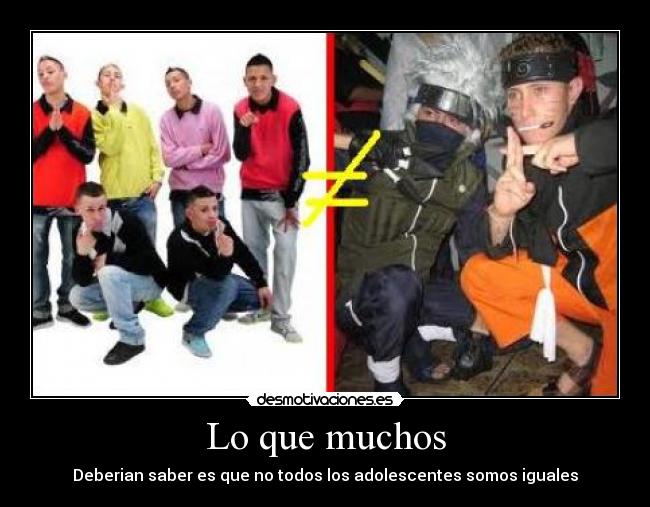 carteles verdad desmotivaciones