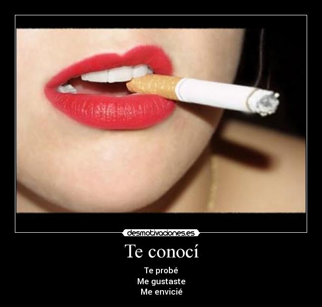 Te conocí -