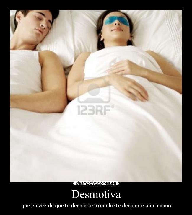 carteles quecorajee desmotivaciones