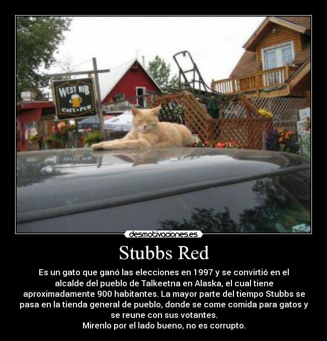 carteles watlk desmotivaciones