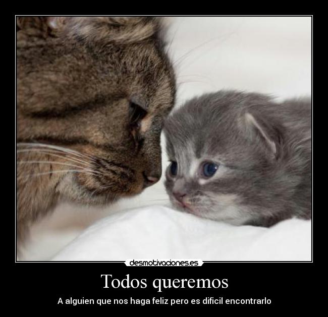 Todos queremos - 