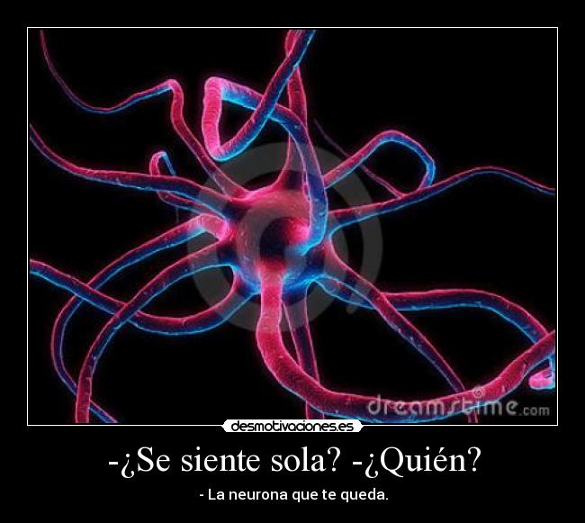 -¿Se siente sola? -¿Quién? - - La neurona que te queda.