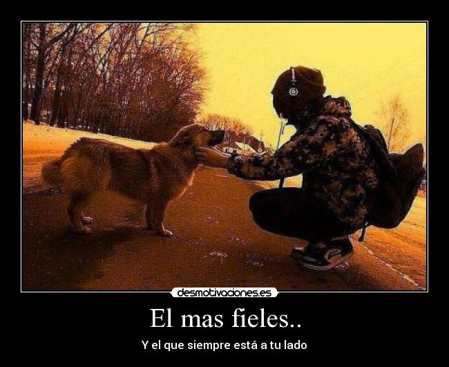 El mas fieles.. - 