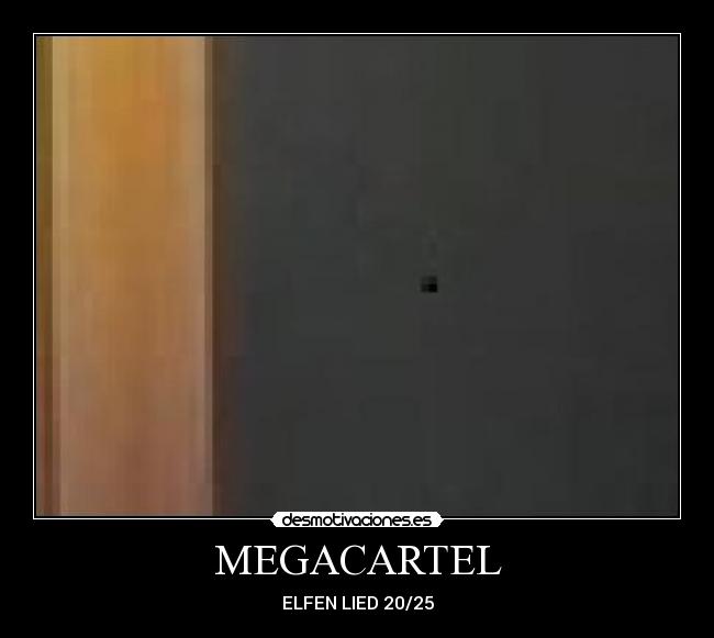 MEGACARTEL - ELFEN LIED 20/25